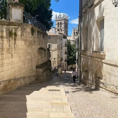 Apartamento 37m2 2 Etage Sur La Place Canourgue Ecusson